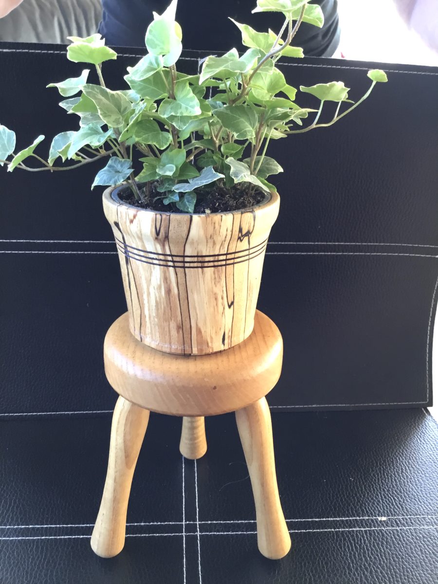 Skammel med blomstervase i svampet bøgetræ